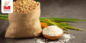 Empowering Global Agri Commodity Trade