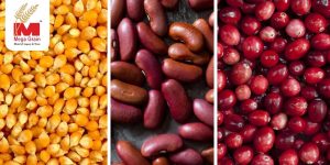 Exploring Global Trade in Yellow Corn, Cranberries, and Beans