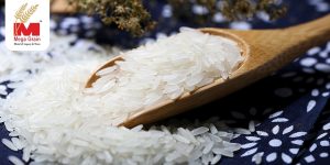 The Global Trade of Rice: From Manufacturers to Exporters